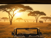 Beyond the Ordinary: Unforgettable Luxury Safari Experiences in Private Conservation Reserves Luxury Safari